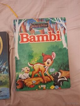 Walt disney bez poskodeni