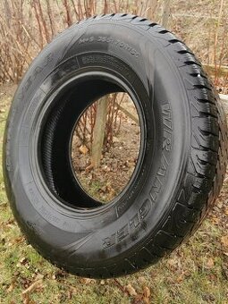 Goodyear wrangler