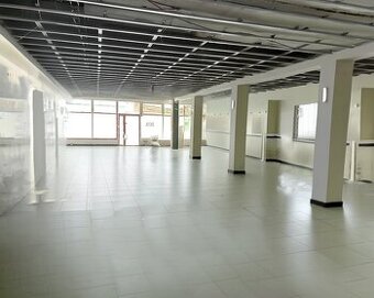 Lukratívne obchodné priestory, Žilina centrum-Bottova 250m2