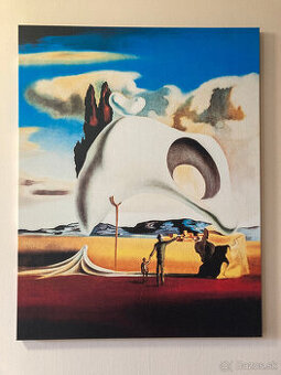 Replika obrazov S. Dalí