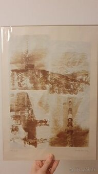 Predam grafiku ciernych dier