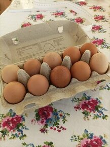 Vajíčka domáce