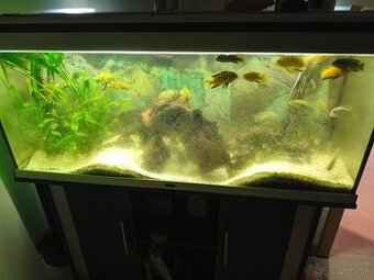 Predám 240 l akvárium - 1