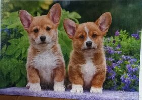 Puzzle -  1000 dielikov