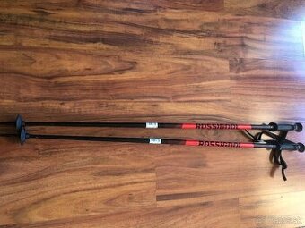 Lyziarske palice 115