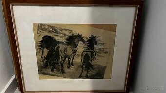 Obraz – kone, grafika v drevenom ráme, pod sklom