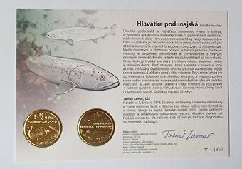 Autorská karta 2025 Hlavátka podunajská