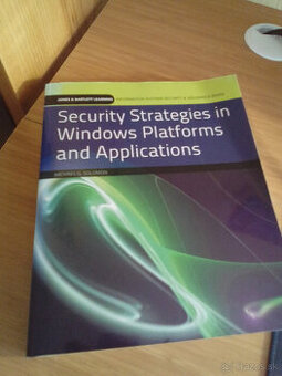 Security Strategies in Windows Platforms and Applications