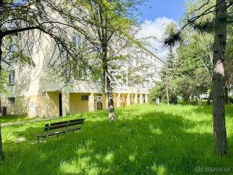 1 izbový byt, pôvodný stav, Košice-Šaca
