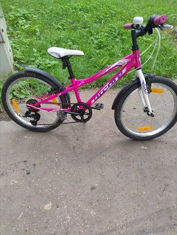 Dievčenský bicykel Arcore "20"