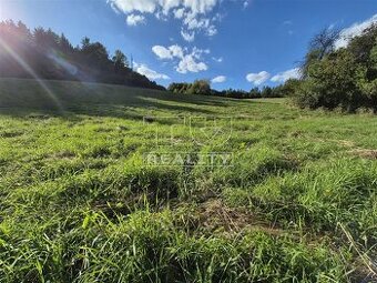 Pozemok lúka v obci Hatné pri hlavnej ceste