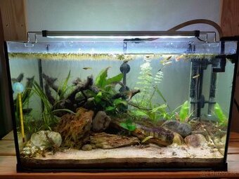 Darujem akvárium