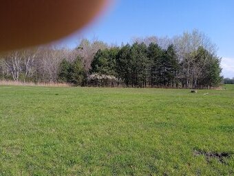 Dam do prenajmu les 800m2. - 1