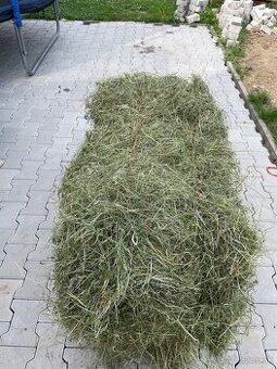 Predám balíky sena