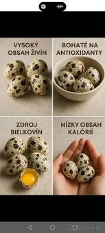 Prepeličie vajcia