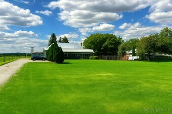 Reštaurácia + byt v Hrádku (Nové Mesto n.Váhom)