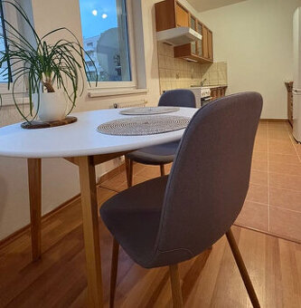 BA II. Na prenájom 1 izbový byt na Galvániho ulici