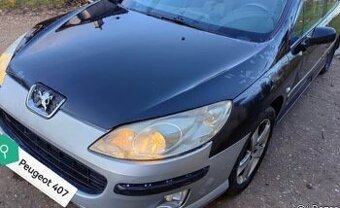 Rozpredám na náhradné diely Peugeot 407SW 2.0hdi 100kw RHR
