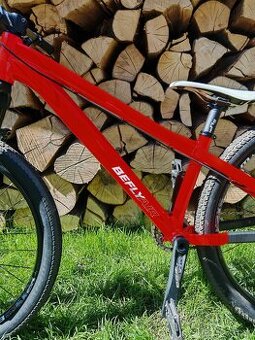 Befly ari pumptrack,dirt