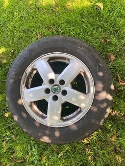 Elektrony 195/65 r15
