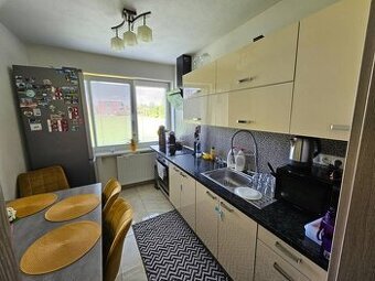 Predáme zrekonštruovaný 3-izbový byt, obec Sľažany, časť Hor