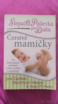 Slepačia polievka pre dušu