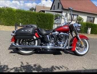 Harley davidson softail