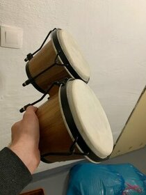 Dvojité bongo - 1