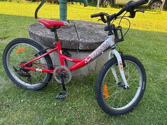 Bicykel “20