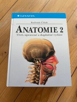 ANATOMIE 2 - Čihák