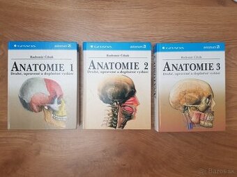 Anatomie Čihák 1,2,3