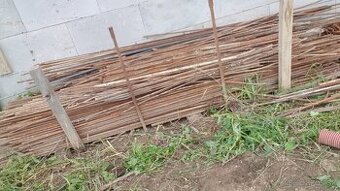 Roxory,stavebná oceĺ