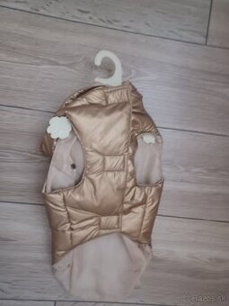 Predam vetrovku pre jazvecika