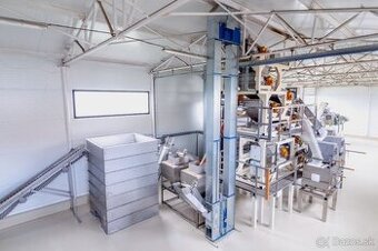Linka na kalibrování a rozbíjení vlašských ořechů (9104)