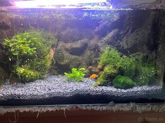 Akvarium s prislusenstvom