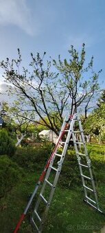 Strihanie, rez ovocných stromov, revitalizácia záhrad