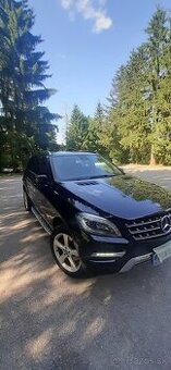 Ml 350