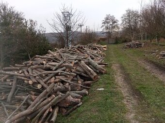 palivové drevo metrovicu buk hrab - 1