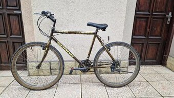 Starsi pansky horsky bicykel