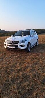 Mercedes benz ml 250 cdi w166 možná výmena