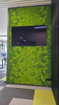 Machové steny a logá na mieru