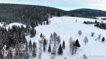 Pozemok so stavebným povolením 22200m2, Látky okr. Detva
