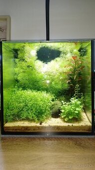 Nenáročné mini akvárium s krevetkami