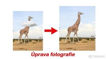 Ponúkam úpravu videí, fotografií a grafiky 🎬