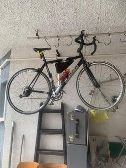 orbea cestna
