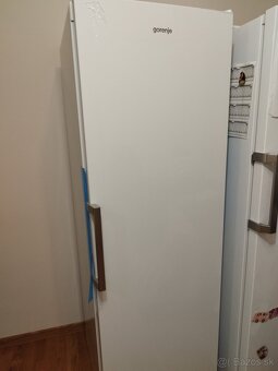 GORENJE FN619EEW5