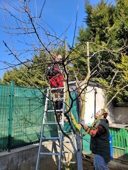 Kosenie pozemkov & Strihanie ovocných stromčekov a INÉ