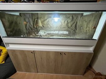 Terarium
