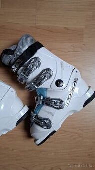 Lyziaeky Roxa skelet 268cm