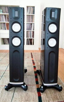 Raidho C2.1 Reproduktory